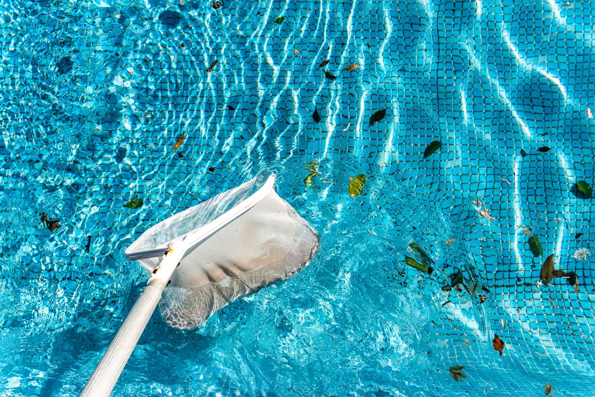 Skimmer net clearing leaves and debris from a blue tiled swimming pool